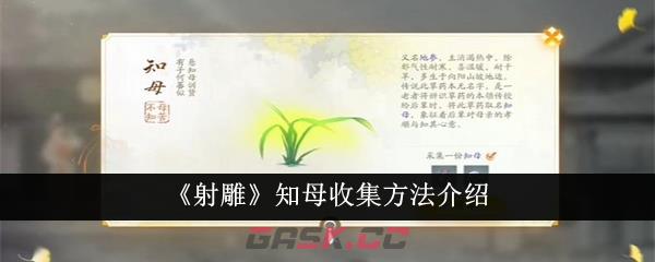 《射雕》知母收集方法介绍-第1张-手游攻略-GASK