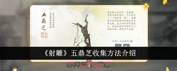 《射雕》五鼎芝收集方法介绍-第1张-手游攻略-GASK