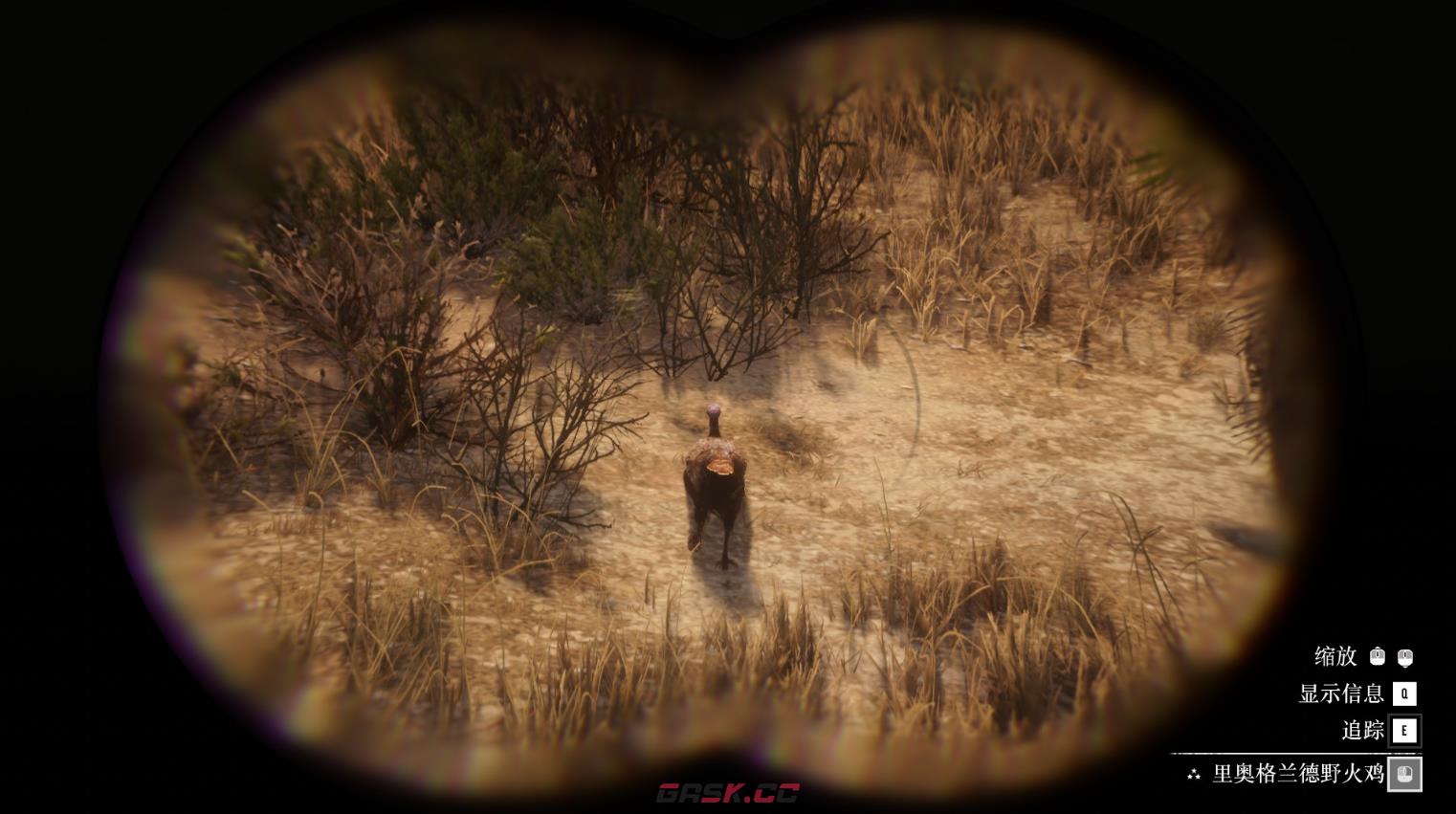 《荒野大镖客2》动物里奥格兰德野火鸡在哪里找-第2张-单机攻略-GASK