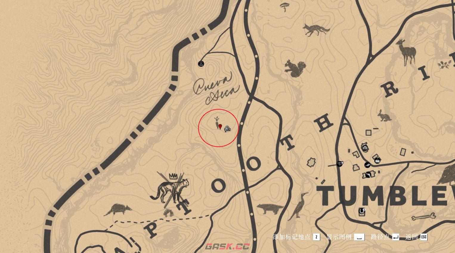 《荒野大镖客2》动物里奥格兰德野火鸡在哪里找-第3张-单机攻略-GASK