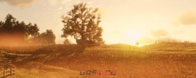 《荒野大镖客2》动物鳄龟在哪里找-第1张-单机攻略-GASK