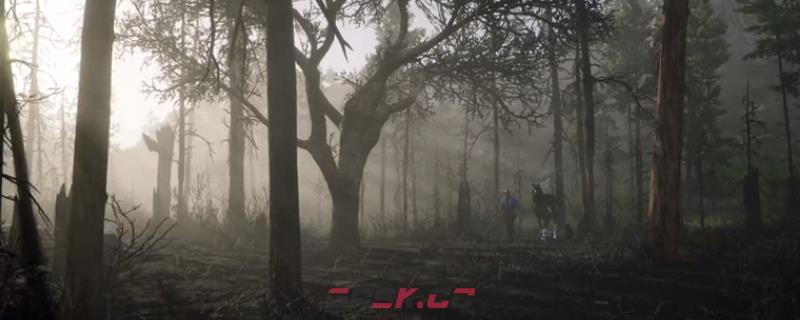 《荒野大镖客2》动物北美黑啄木鸟在哪里找-第1张-单机攻略-GASK