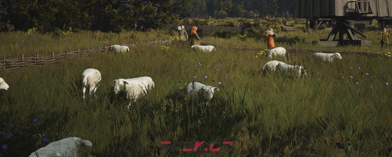 《庄园领主》游戏家庭堡地升级需要注意什么-第1张-单机攻略-GASK