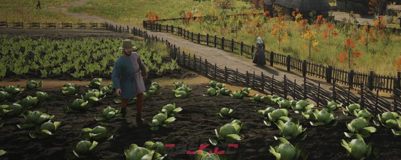 《庄园领主》未分配家庭有什么作用特点-第1张-单机攻略-GASK