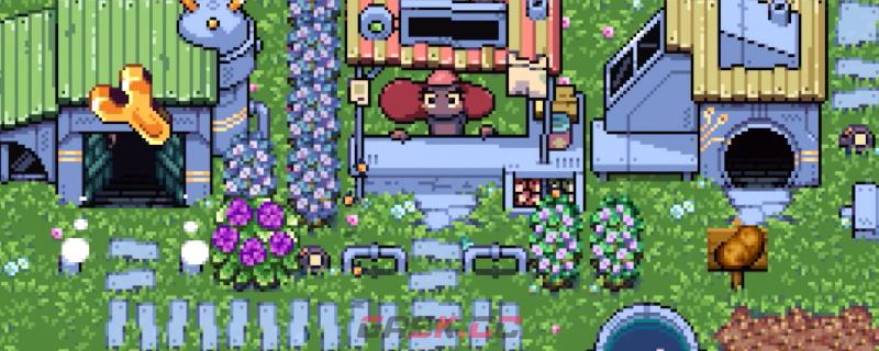 《鲁斯蒂的退休》游戏装饰品有什么种类-第1张-单机攻略-GASK