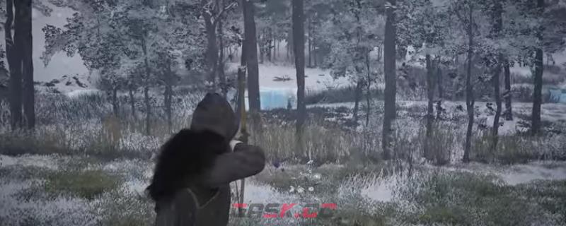 《颂钟长鸣》沼泽区湿木丛林附近有什么资源-第1张-单机攻略-GASK