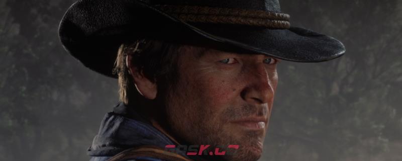 《荒野大镖客2》游戏马匹死亡有什么情况-第1张-单机攻略-GASK