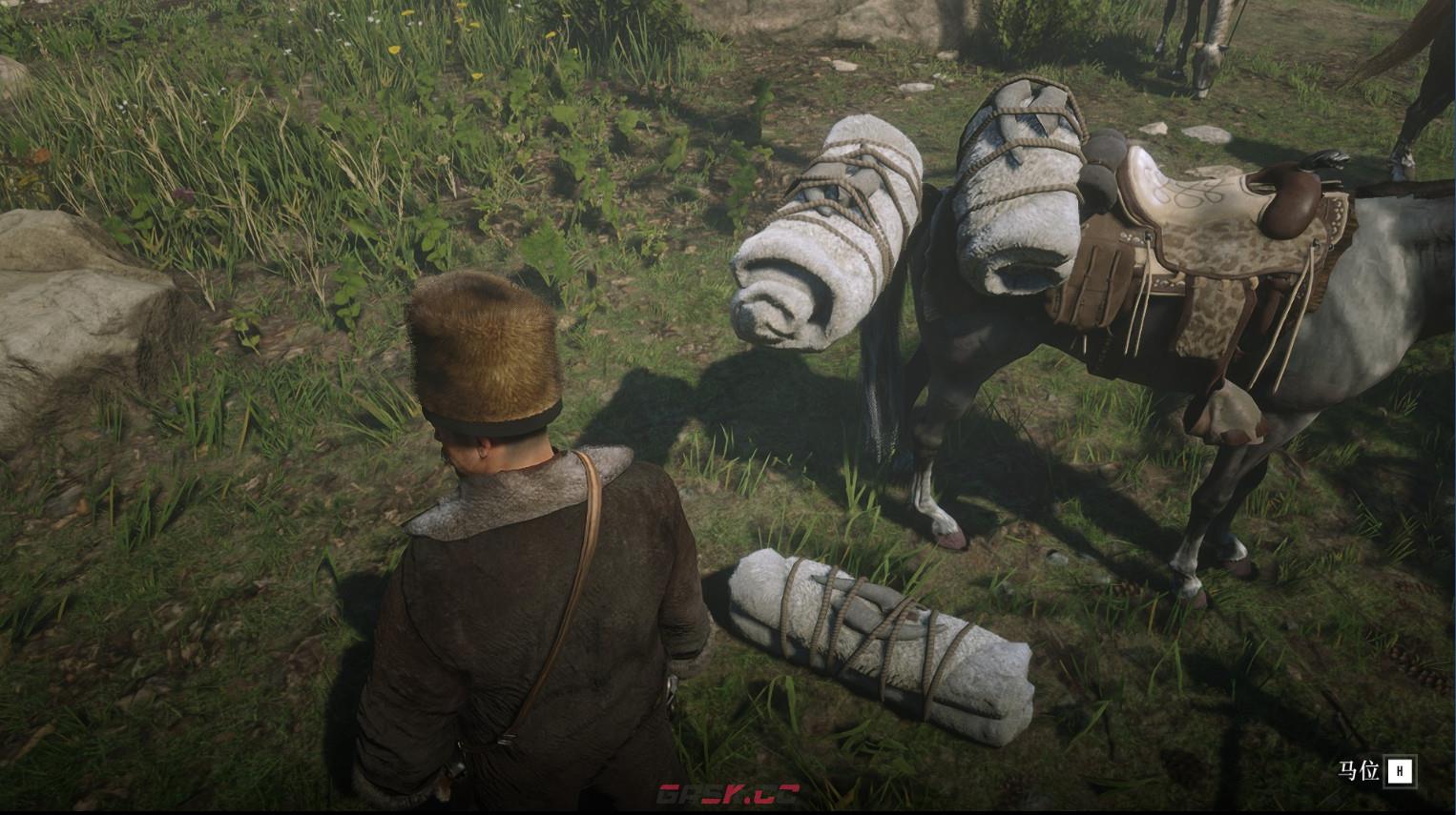 《荒野大镖客2》游戏怎么复制大型动物的皮毛-第4张-单机攻略-GASK