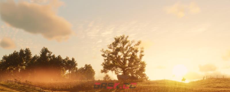 《荒野大镖客2》游戏马匹死亡有什么原因-第1张-单机攻略-GASK