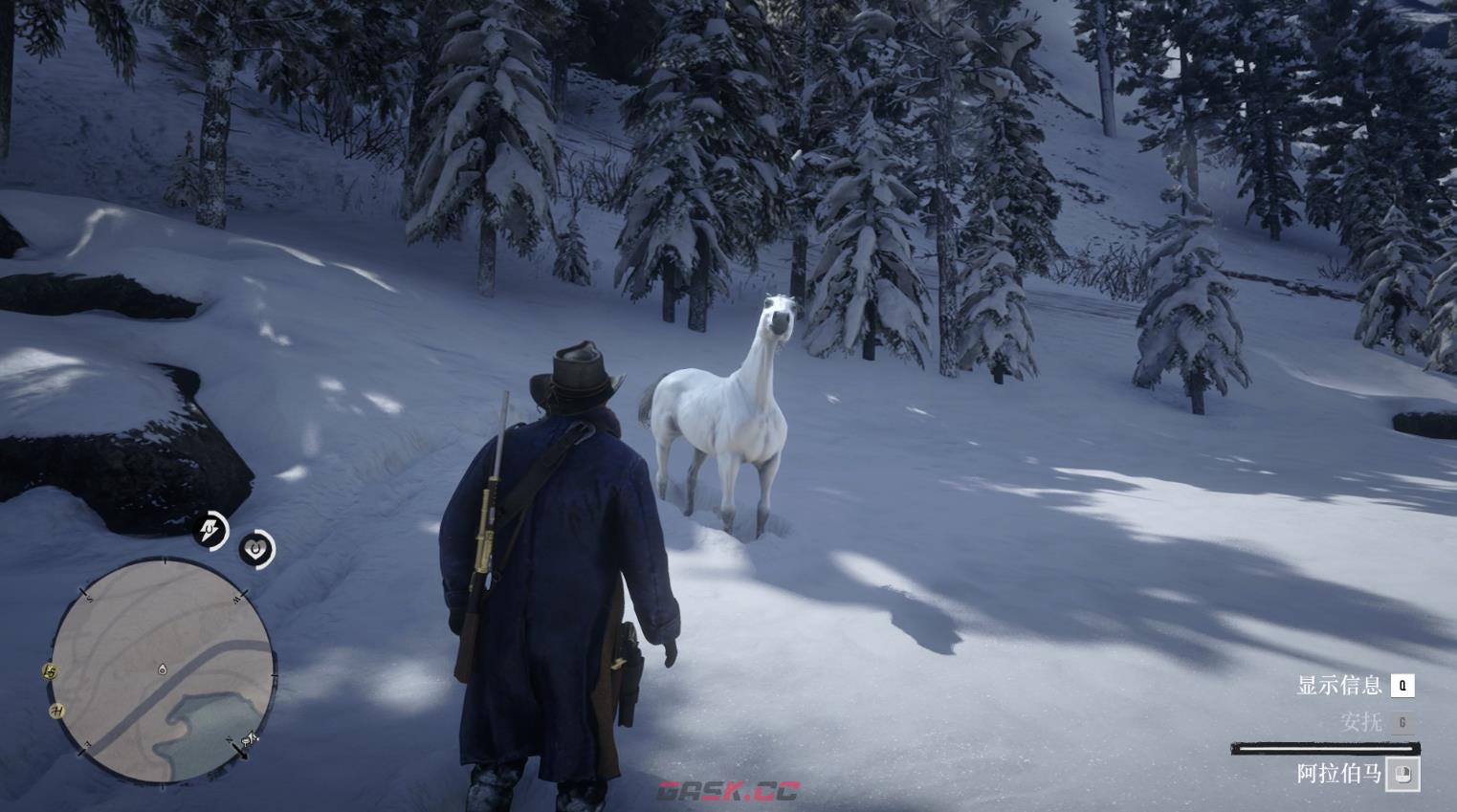 《荒野大镖客2》白色阿拉伯马在哪里可以找到-第2张-单机攻略-GASK