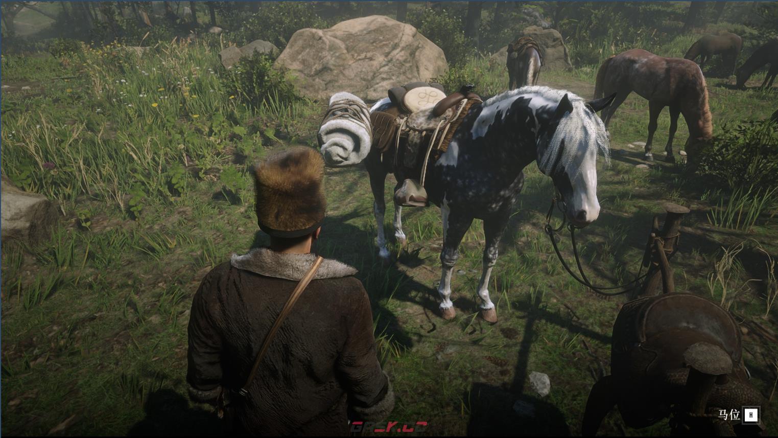 《荒野大镖客2》游戏怎么复制大型动物的皮毛-第3张-单机攻略-GASK