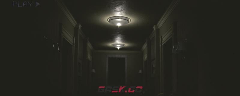 《后室媒体》有什么特殊玩法-第1张-单机攻略-GASK
