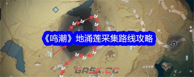 《鸣潮》地涌莲采集路线攻略-第1张-手游攻略-GASK