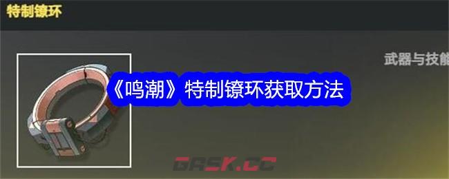 《鸣潮》特制镣环获取方法-第1张-手游攻略-GASK