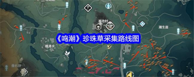 《鸣潮》珍珠草采集路线图-第1张-手游攻略-GASK