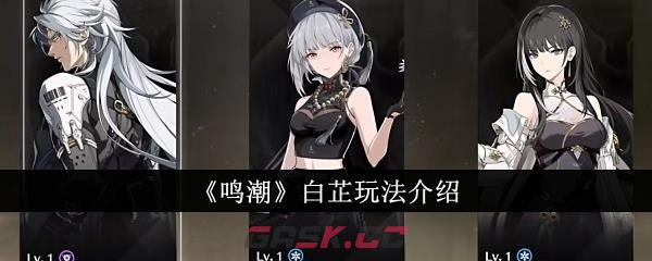 《鸣潮》白芷玩法介绍-第1张-手游攻略-GASK