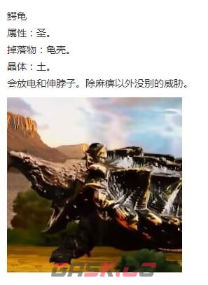 《神之天平》鳄龟怎么打-第2张-单机攻略-GASK