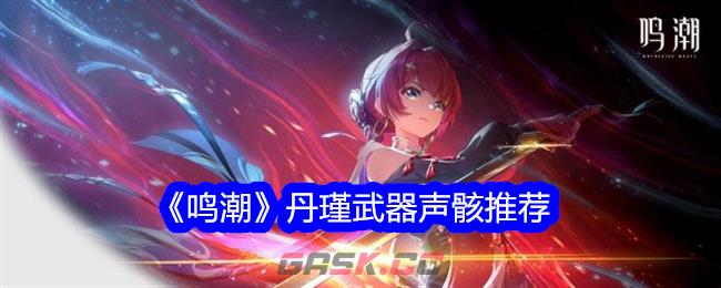 《鸣潮》丹瑾武器声骸推荐-第1张-手游攻略-GASK