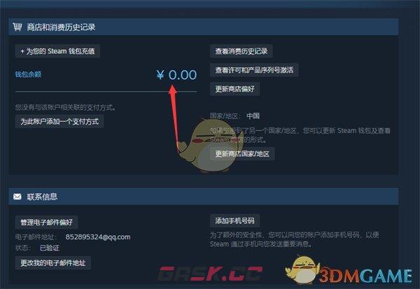 《steam》钱包余额查看方法-第5张-手游攻略-GASK
