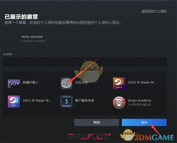 《steam》展示徽章设置方法-第6张-手游攻略-GASK