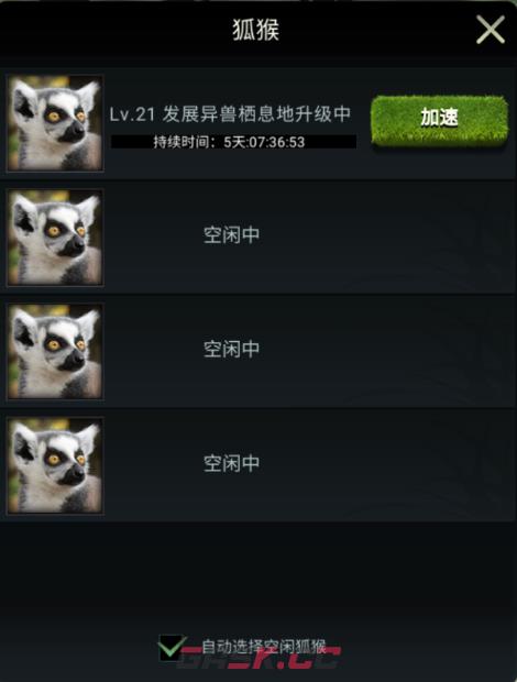 【丛林攻略】兽王领地小管家：狐猴详解-第2张-手游攻略-GASK