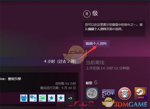 《steam》展示徽章设置方法-第4张-手游攻略-GASK