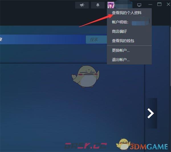 《steam》展示徽章设置方法-第3张-手游攻略-GASK