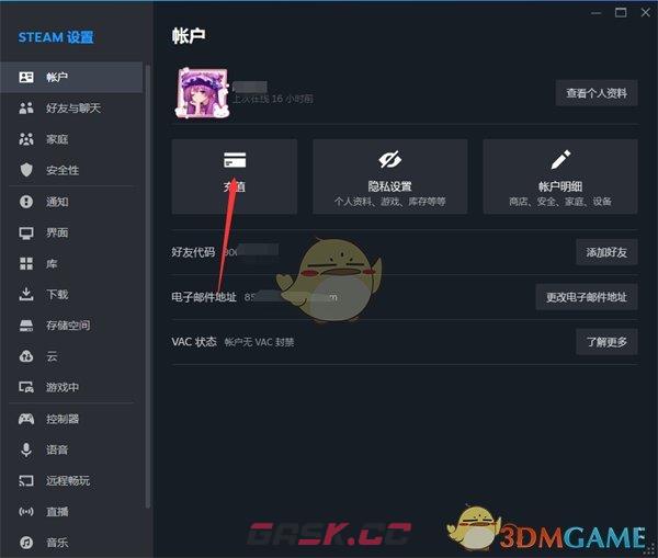 《steam》充值方法介绍-第4张-手游攻略-GASK