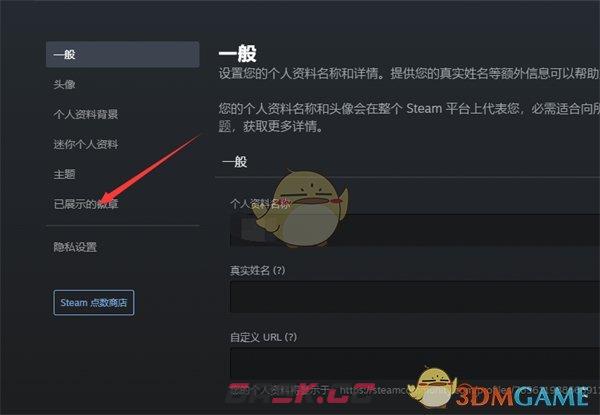 《steam》展示徽章设置方法-第5张-手游攻略-GASK