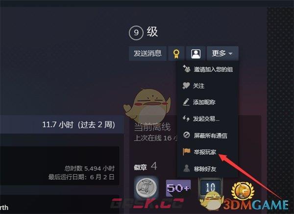 《steam》举报用户方法-第7张-手游攻略-GASK