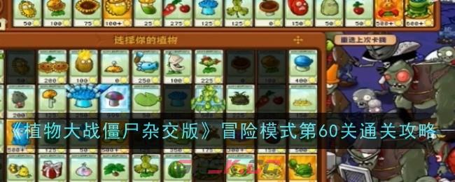 《植物大战僵尸杂交版》冒险模式第60关通关攻略-第1张-手游攻略-GASK