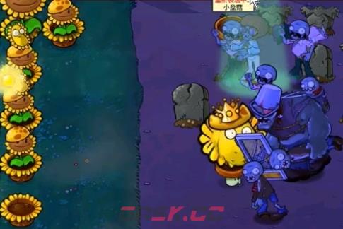 《植物大战僵尸杂交版》冒险模式第60关通关攻略-第3张-手游攻略-GASK