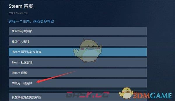 《steam》举报用户方法-第5张-手游攻略-GASK
