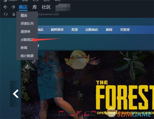 《steam》查看点数历史记录方法-第3张-手游攻略-GASK