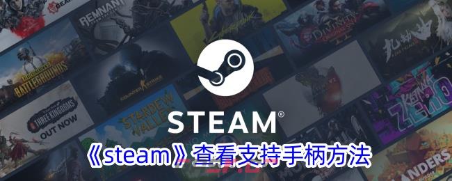 《steam》查看支持手柄方法-第1张-手游攻略-GASK