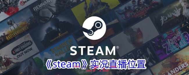 《steam》实况直播位置-第1张-手游攻略-GASK