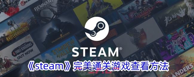 《steam》完美通关游戏查看方法-第1张-手游攻略-GASK