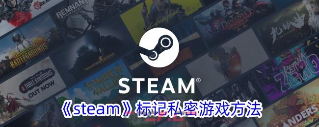 《steam》标记私密游戏方法-第1张-手游攻略-GASK