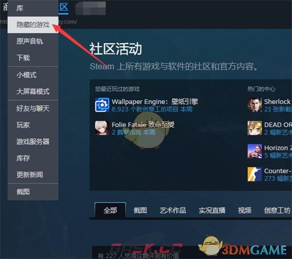 《steam》隐藏游戏查看方法-第3张-手游攻略-GASK