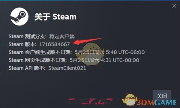 《steam》版本号查看方法-第4张-手游攻略-GASK