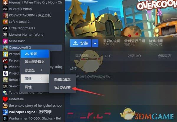 《steam》标记私密游戏方法-第4张-手游攻略-GASK