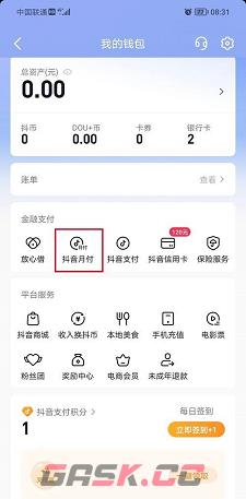 《抖音》月付额度查看方法-第3张-手游攻略-GASK
