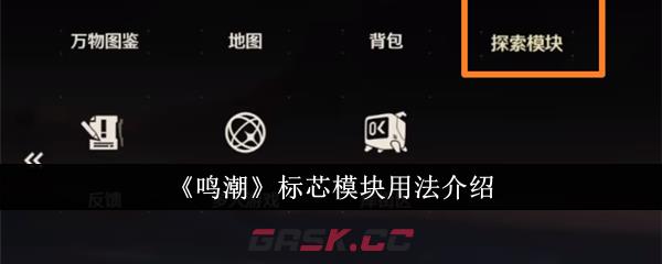 《鸣潮》标芯模块用法介绍-第1张-手游攻略-GASK