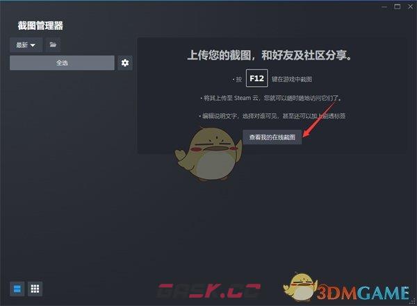 《steam》在线截图查看方法-第4张-手游攻略-GASK