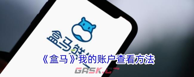 《盒马》我的账户查看方法-第1张-手游攻略-GASK