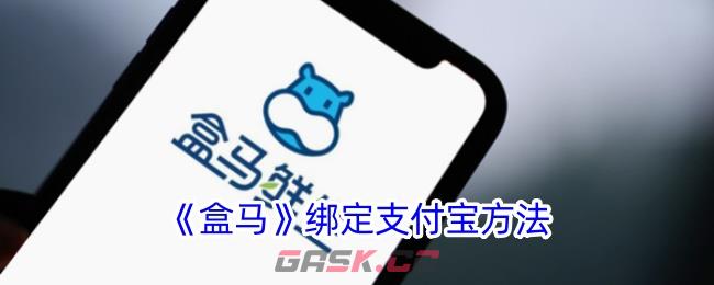 《盒马》绑定支付宝方法-第1张-手游攻略-GASK