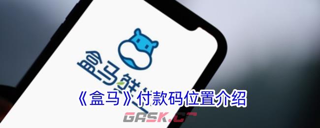 《盒马》付款码位置介绍-第1张-手游攻略-GASK