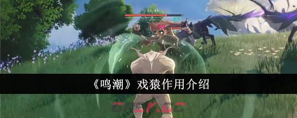 《鸣潮》戏猿作用介绍-第1张-手游攻略-GASK