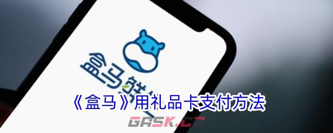 《盒马》用礼品卡支付方法-第1张-手游攻略-GASK