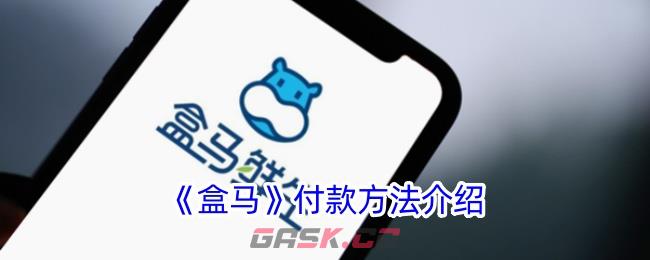 《盒马》付款方法介绍-第1张-手游攻略-GASK